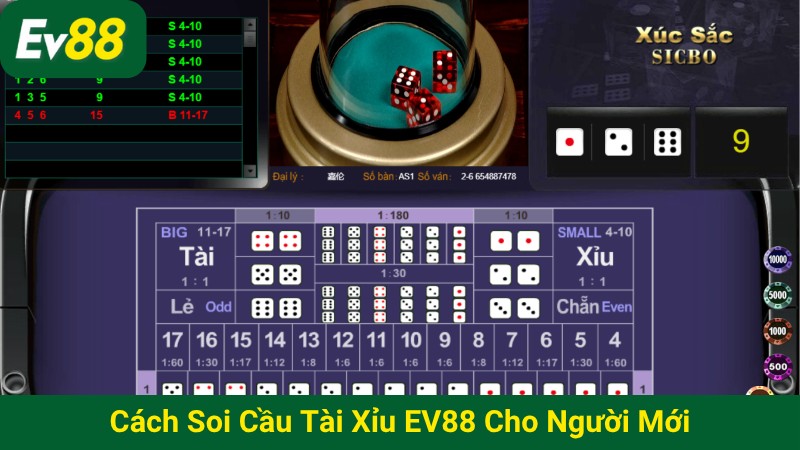 Cách soi cầu Tài xỉu EV88 cho người mới