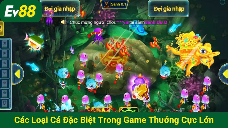 Các loại cá đặc biệt trong game thưởng cực lớn