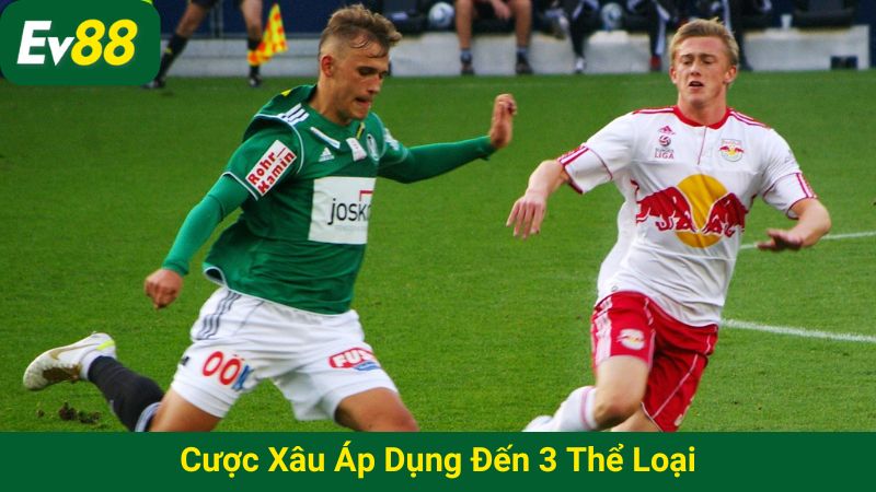 Cược xâu áp dụng đến 3 thể loại