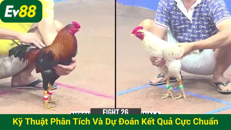Kỹ thuật phân tích và dự đoán kết quả cực chuẩn