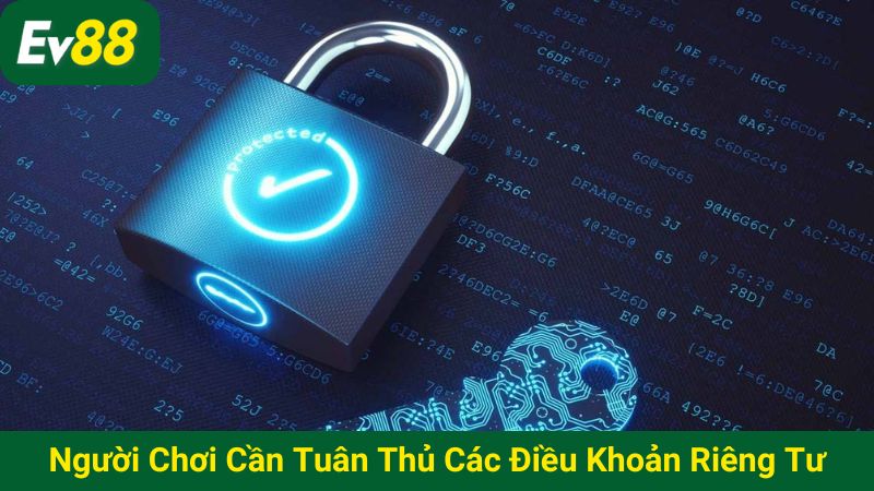 Người chơi cần tuân thủ các điều khoản về quyền riêng tư