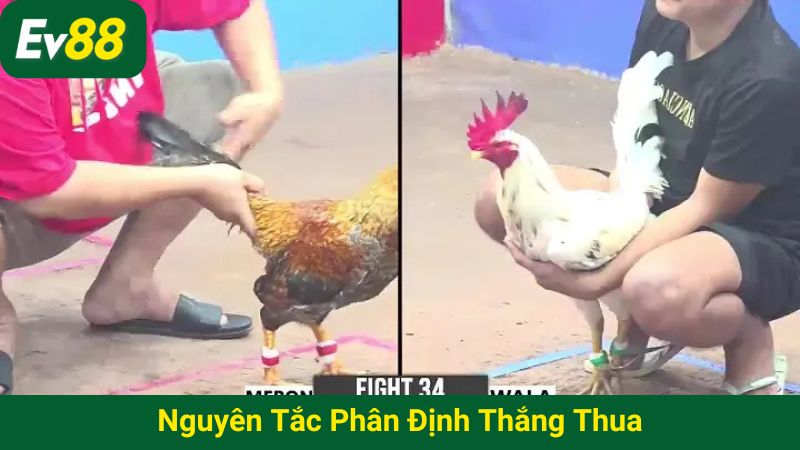 Nguyên tắc phân định thắng thua
