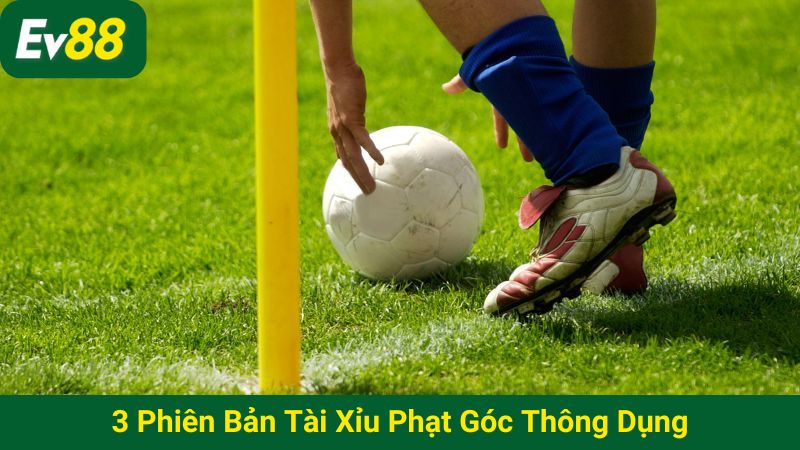 3 phiên bản tài xỉu phạt góc thông dụng