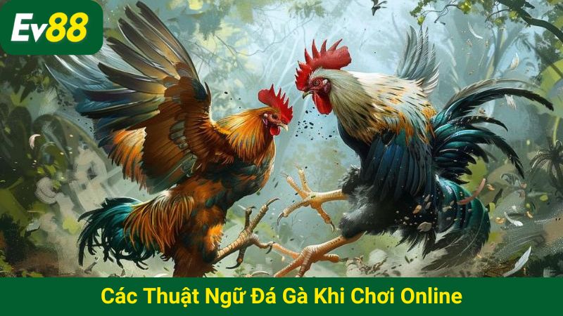 Các thuật ngữ đá gà khi chơi online