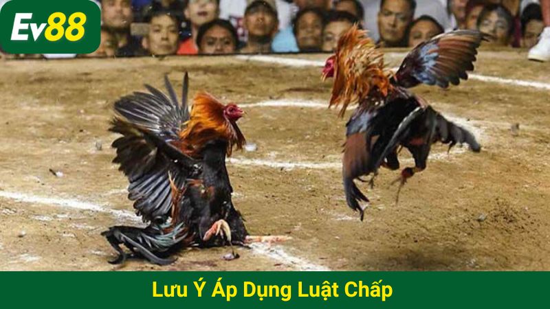 Lưu ý áp dụng luật chấp