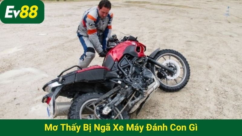 Mơ thấy bị ngã xe máy đánh con gì