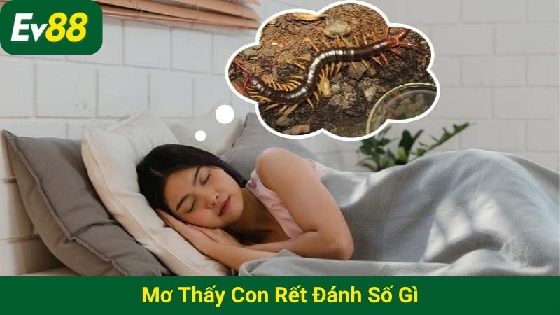 Mơ thấy con rết đánh số gì