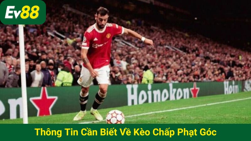 Thông tin cần biết về kèo chấp phạt góc