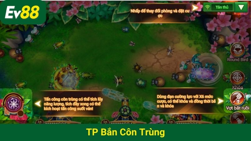 TP Bắn Côn Trùng