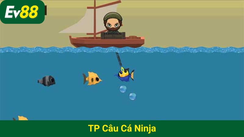 TP câu cá Ninja