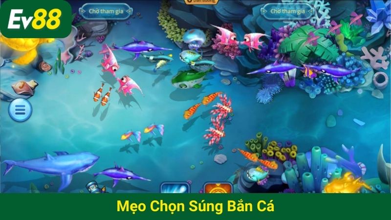 mẹo chọn súng bắn cá