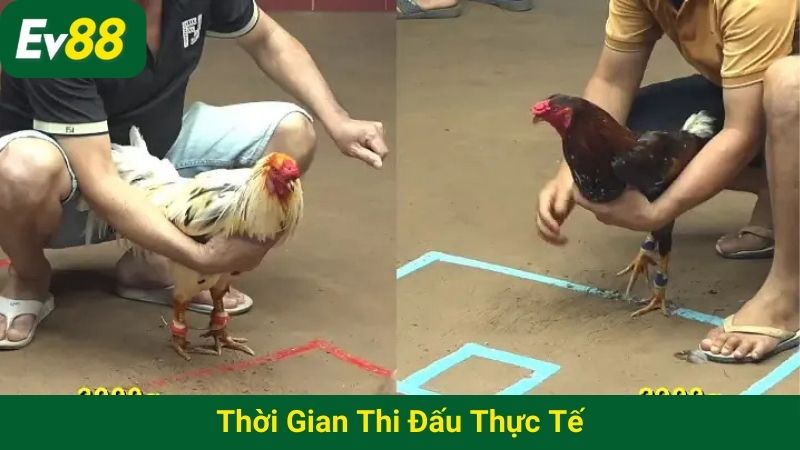 Thời gian thi đấu thực tế
