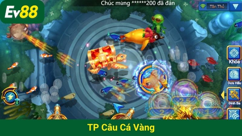 TP Câu cá vàng