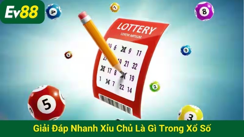 Giải đáp nhanh xỉu chủ là gì trong xổ số