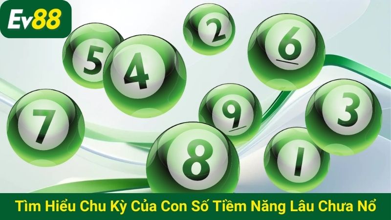 Tìm hiểu chu kỳ của các con số tiềm năng lâu chưa nổ