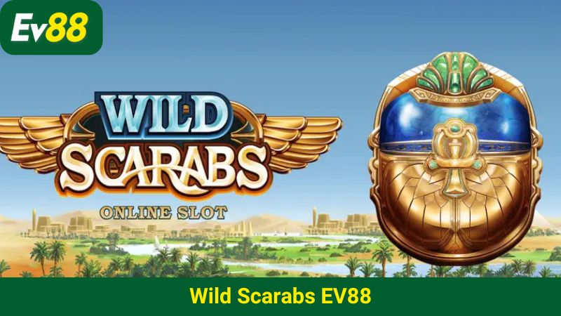 Wild Scarabs EV88